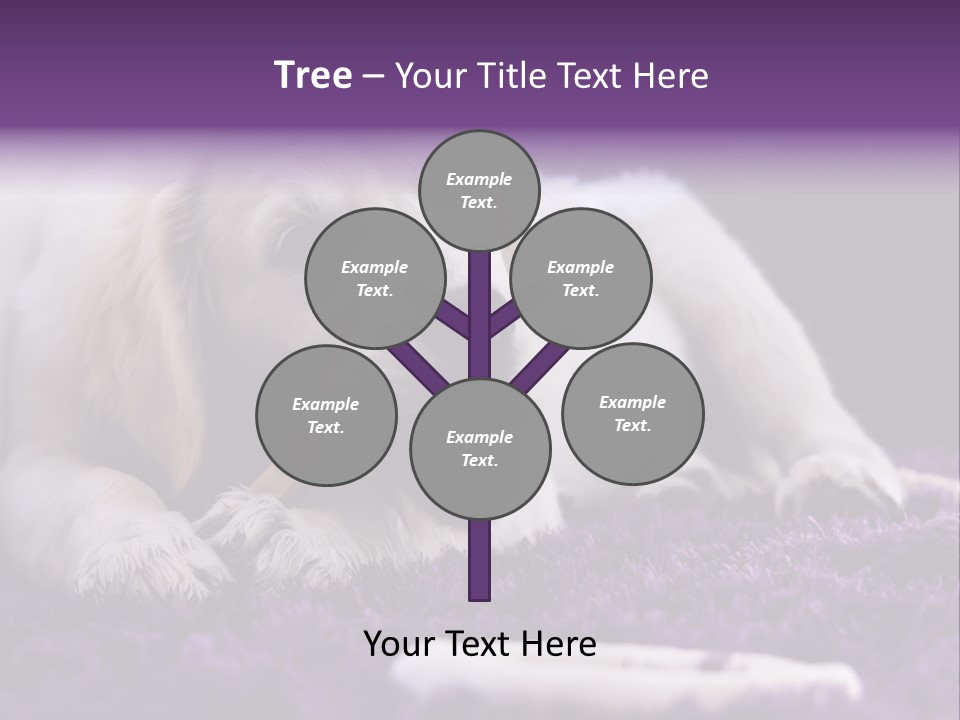 A White Dog Laying On A Purple Rug With A Toothbrush In Its Mouth PowerPoint Template