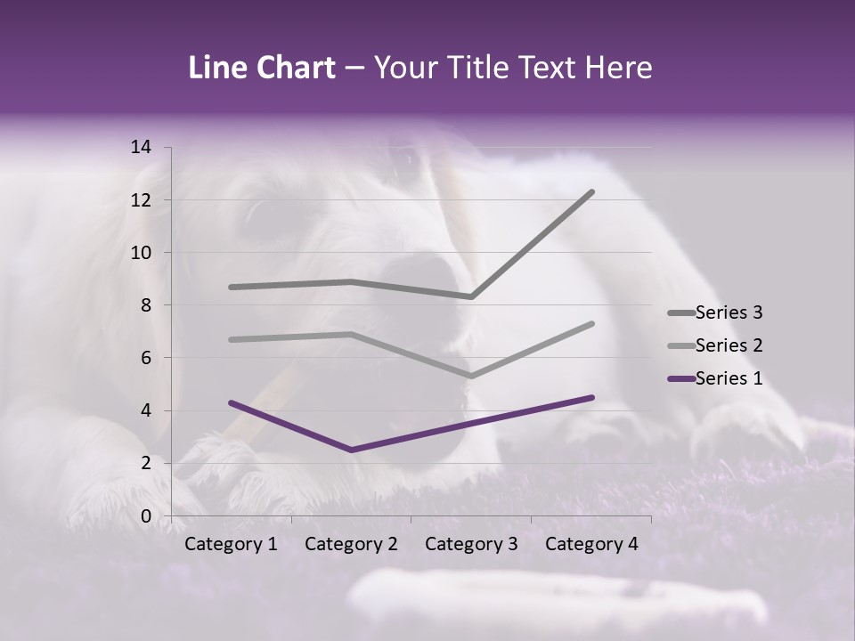A White Dog Laying On A Purple Rug With A Toothbrush In Its Mouth PowerPoint Template