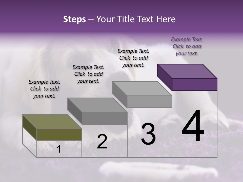 A White Dog Laying On A Purple Rug With A Toothbrush In Its Mouth PowerPoint Template