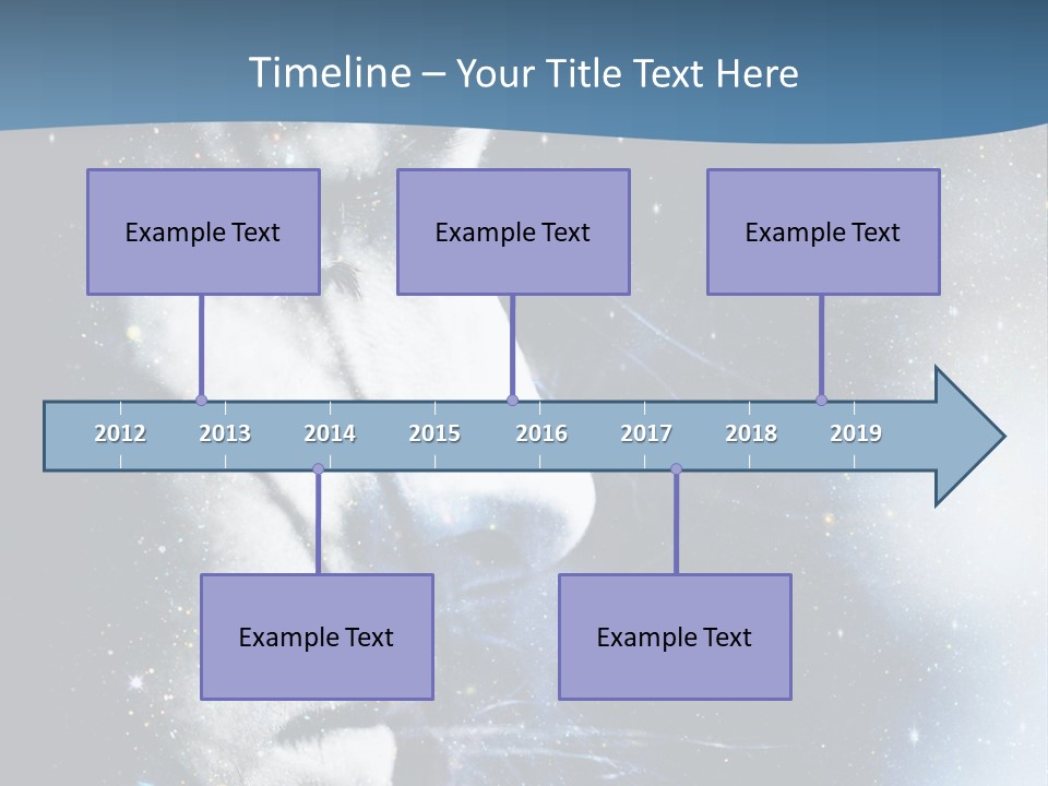 A Woman's Face With Stars In The Background PowerPoint Template