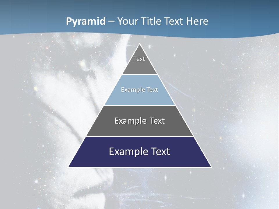 A Woman's Face With Stars In The Background PowerPoint Template