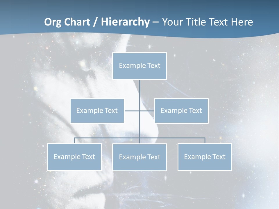 A Woman's Face With Stars In The Background PowerPoint Template
