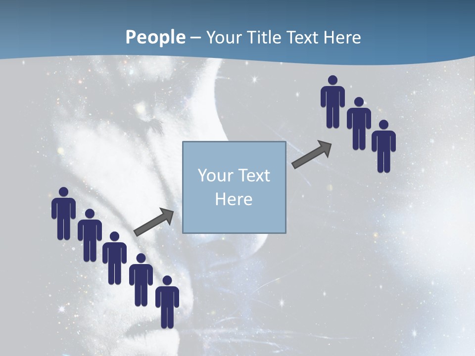 A Woman's Face With Stars In The Background PowerPoint Template