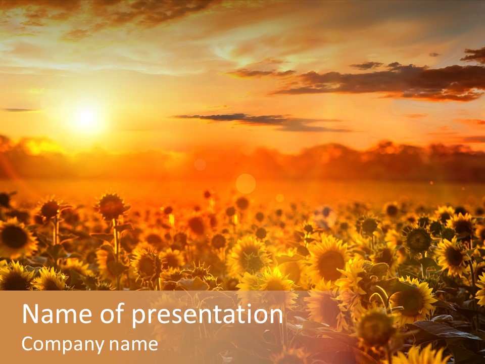 Flower Fiery Vibrant PowerPoint Template