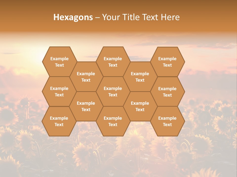 Flower Fiery Vibrant PowerPoint Template