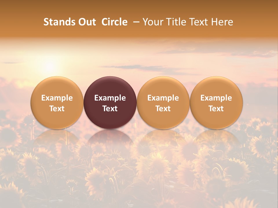 Flower Fiery Vibrant PowerPoint Template