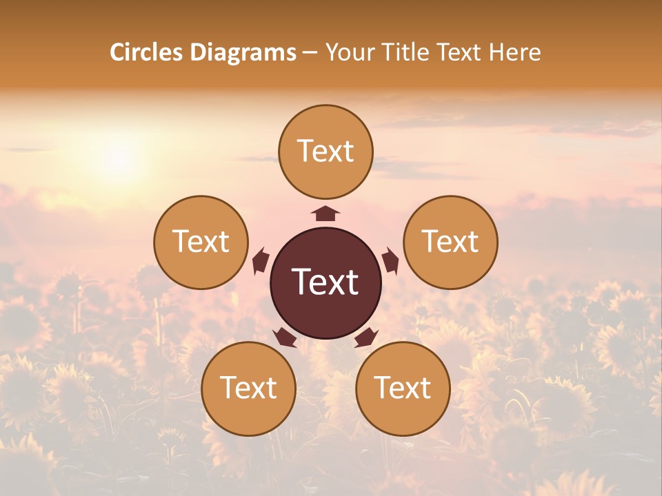 Flower Fiery Vibrant PowerPoint Template