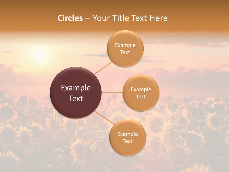 Flower Fiery Vibrant PowerPoint Template