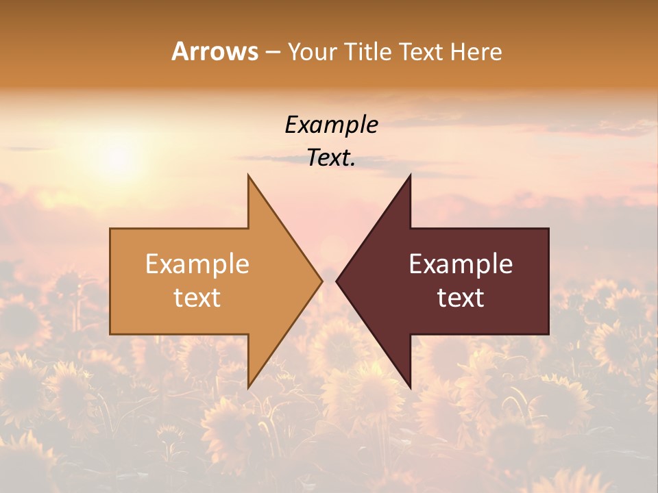 Flower Fiery Vibrant PowerPoint Template