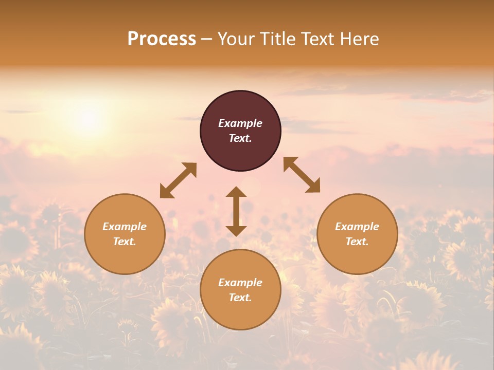 Flower Fiery Vibrant PowerPoint Template