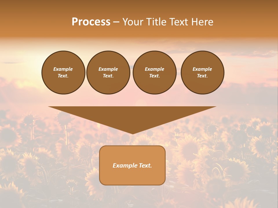 Flower Fiery Vibrant PowerPoint Template
