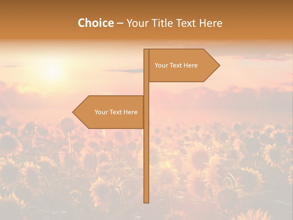 Flower Fiery Vibrant PowerPoint Template