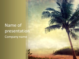 A Palm Tree On A Sandy Beach With The Ocean In The Background PowerPoint Template