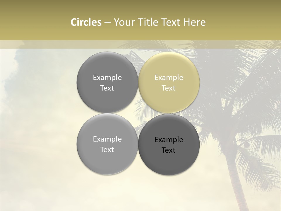 A Palm Tree On A Sandy Beach With The Ocean In The Background PowerPoint Template