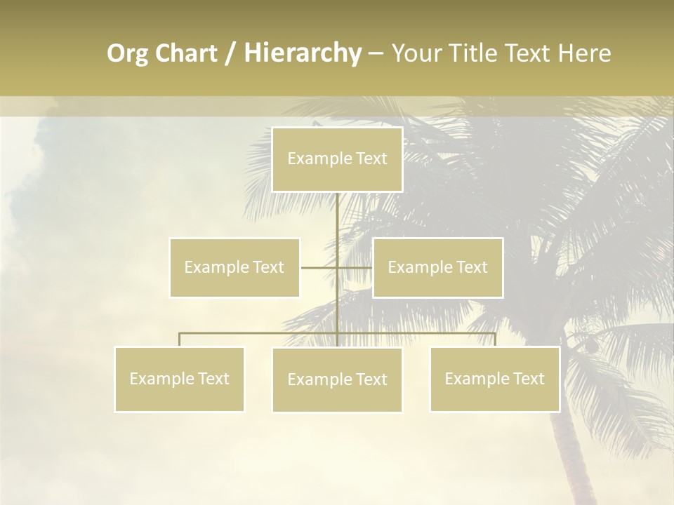 A Palm Tree On A Sandy Beach With The Ocean In The Background PowerPoint Template