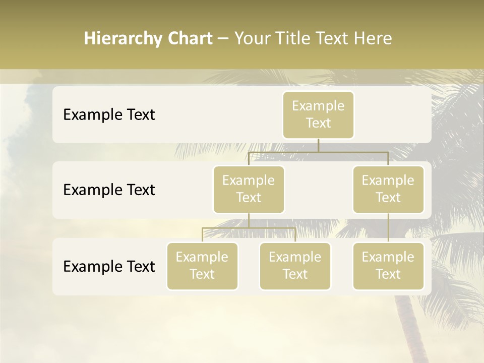 A Palm Tree On A Sandy Beach With The Ocean In The Background PowerPoint Template