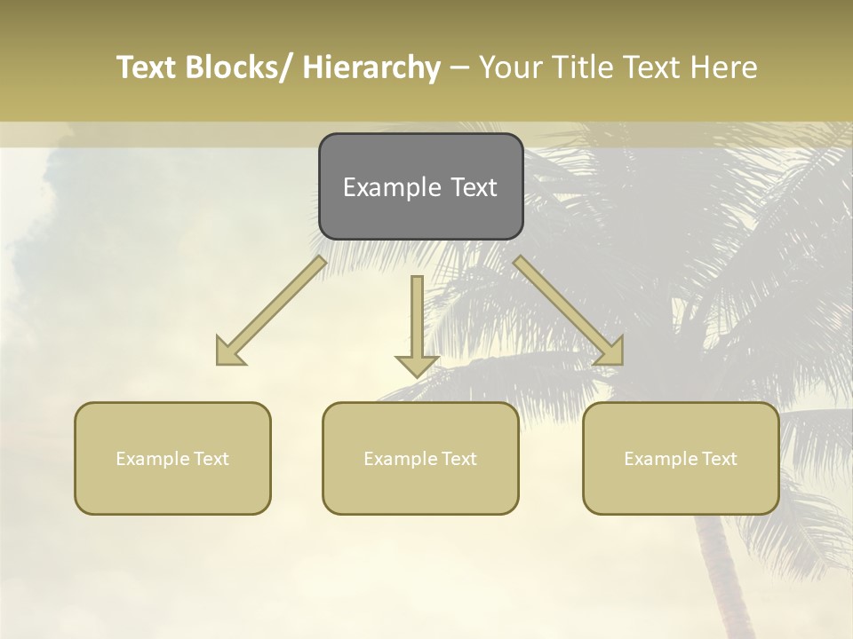 A Palm Tree On A Sandy Beach With The Ocean In The Background PowerPoint Template