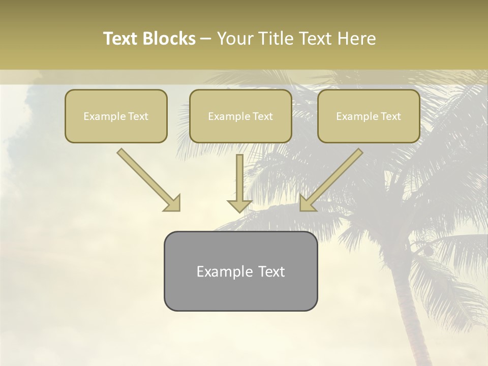 A Palm Tree On A Sandy Beach With The Ocean In The Background PowerPoint Template