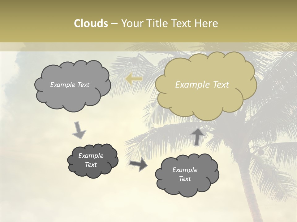 A Palm Tree On A Sandy Beach With The Ocean In The Background PowerPoint Template