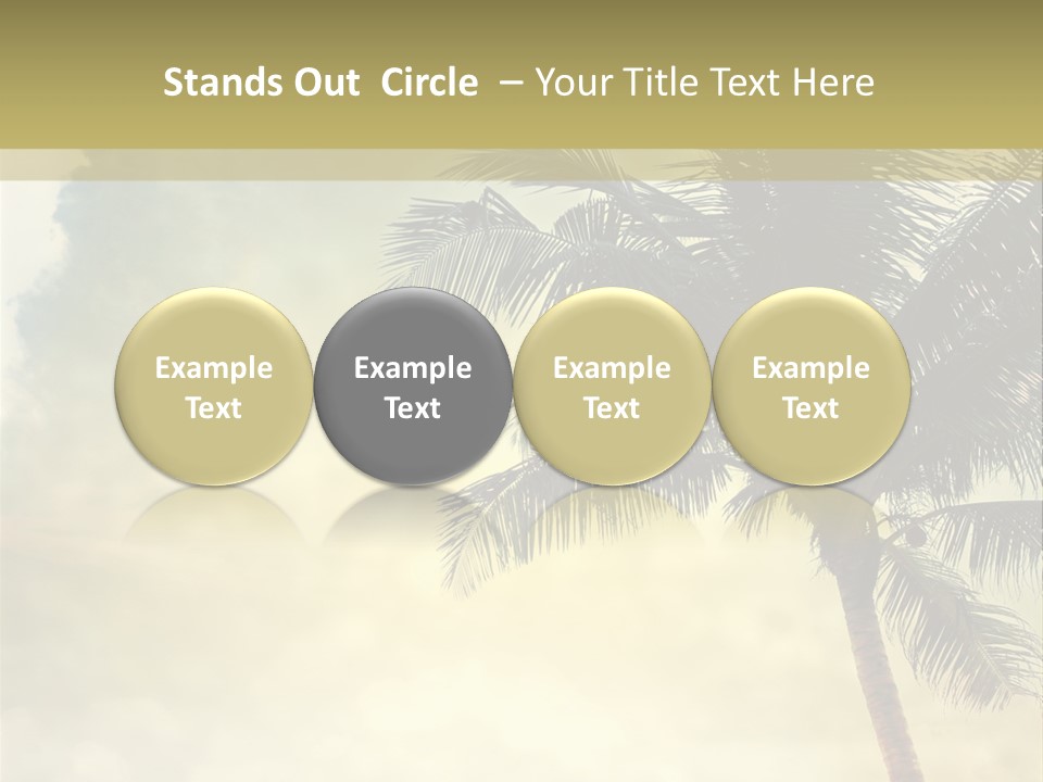 A Palm Tree On A Sandy Beach With The Ocean In The Background PowerPoint Template