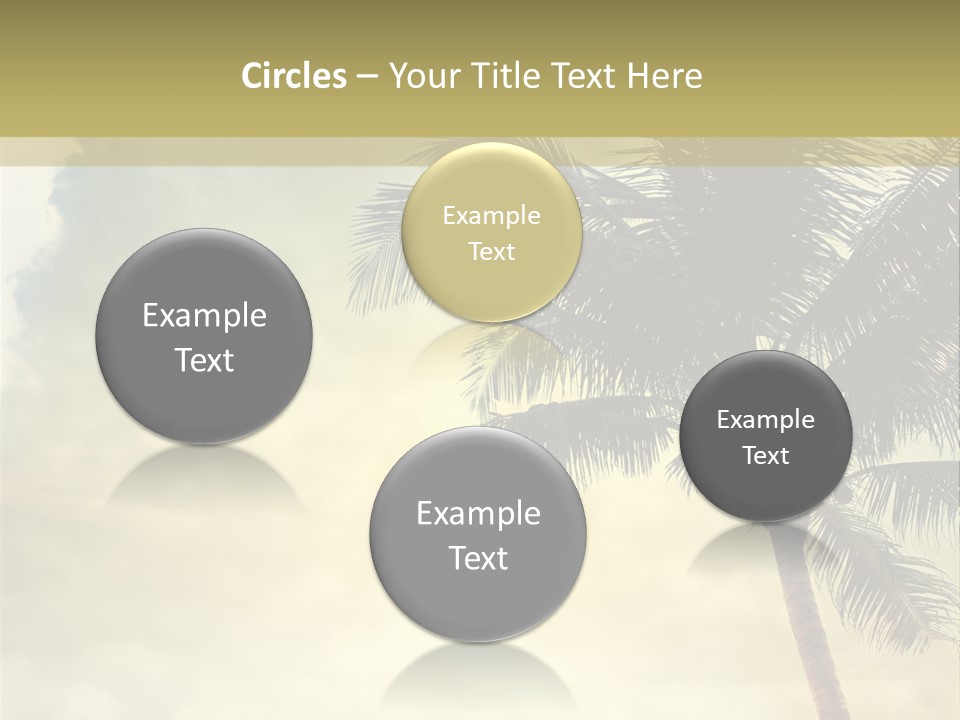 A Palm Tree On A Sandy Beach With The Ocean In The Background PowerPoint Template