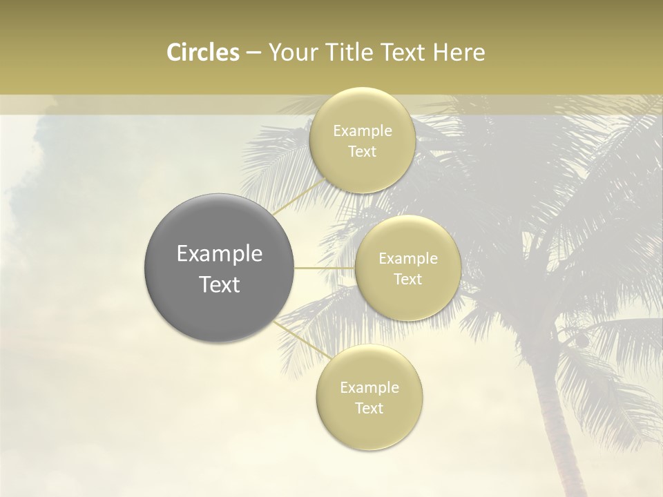 A Palm Tree On A Sandy Beach With The Ocean In The Background PowerPoint Template