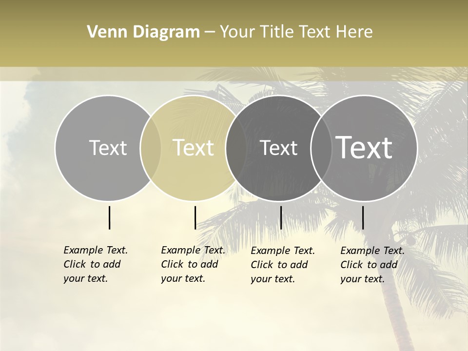 A Palm Tree On A Sandy Beach With The Ocean In The Background PowerPoint Template