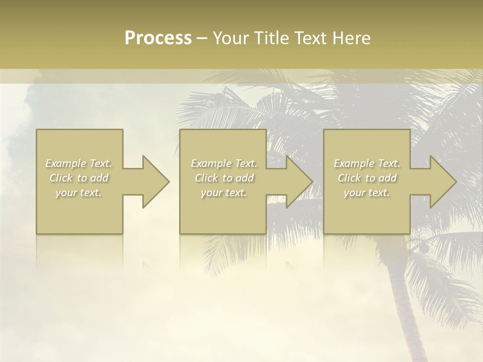 A Palm Tree On A Sandy Beach With The Ocean In The Background PowerPoint Template