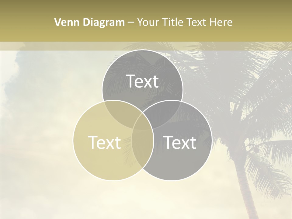 A Palm Tree On A Sandy Beach With The Ocean In The Background PowerPoint Template