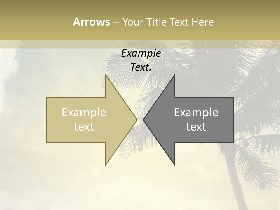 A Palm Tree On A Sandy Beach With The Ocean In The Background PowerPoint Template