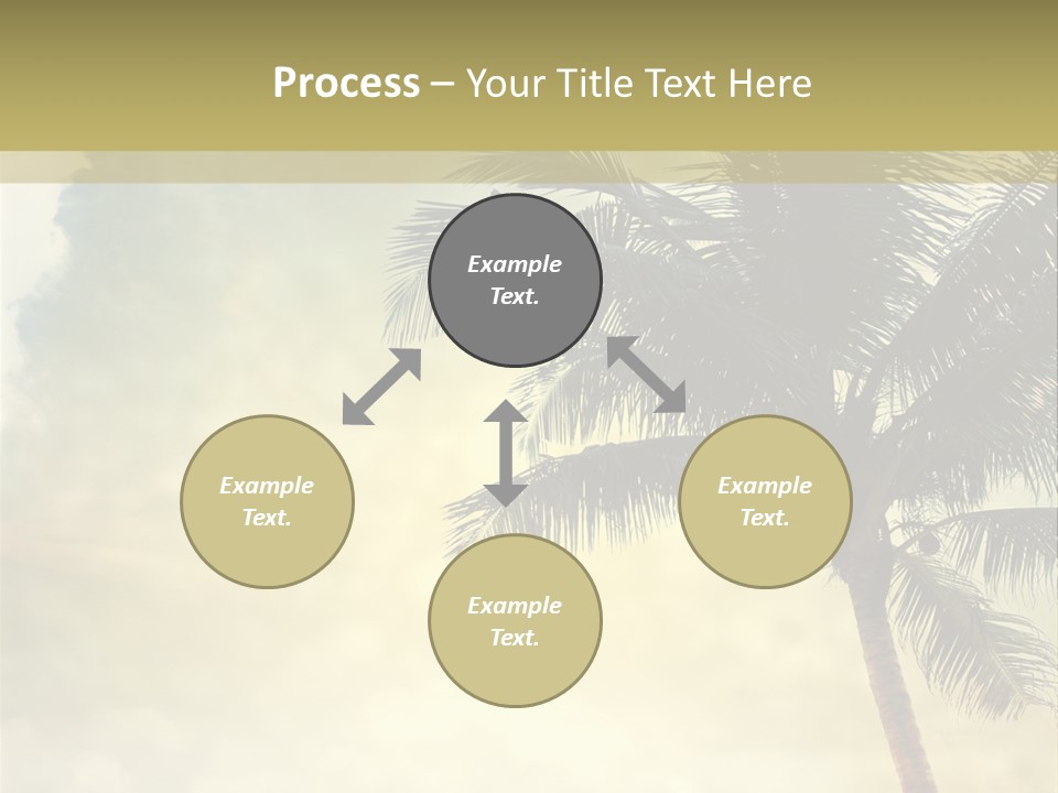 A Palm Tree On A Sandy Beach With The Ocean In The Background PowerPoint Template