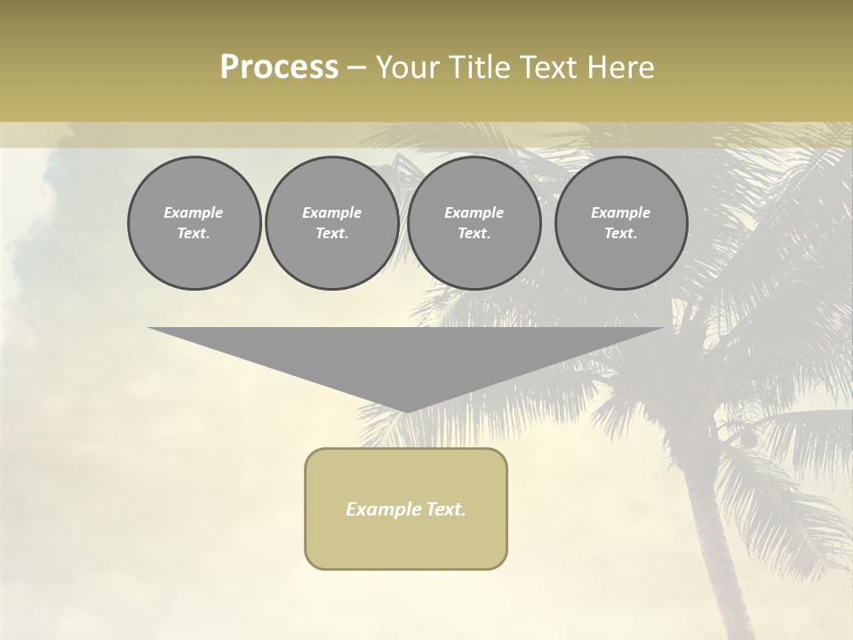 A Palm Tree On A Sandy Beach With The Ocean In The Background PowerPoint Template