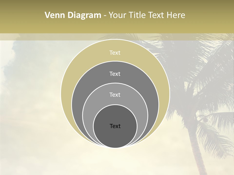 A Palm Tree On A Sandy Beach With The Ocean In The Background PowerPoint Template