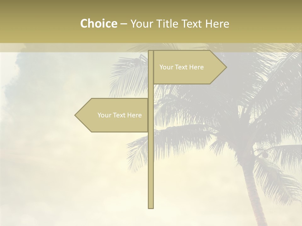 A Palm Tree On A Sandy Beach With The Ocean In The Background PowerPoint Template