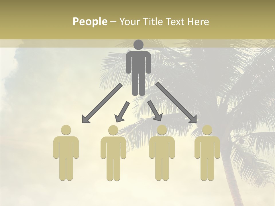 A Palm Tree On A Sandy Beach With The Ocean In The Background PowerPoint Template