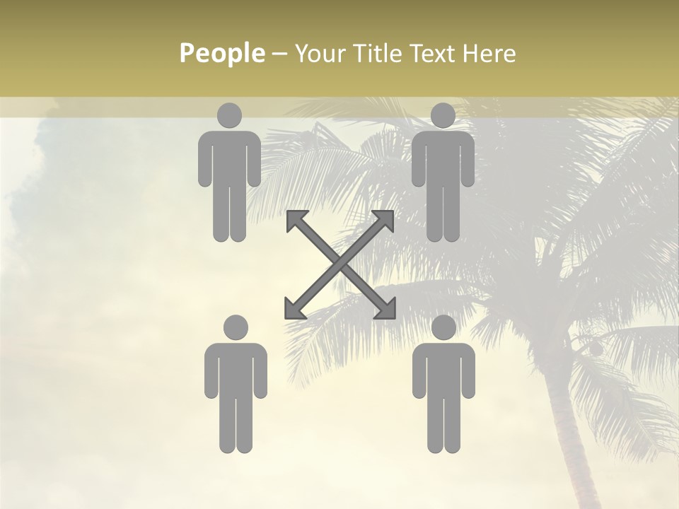 A Palm Tree On A Sandy Beach With The Ocean In The Background PowerPoint Template