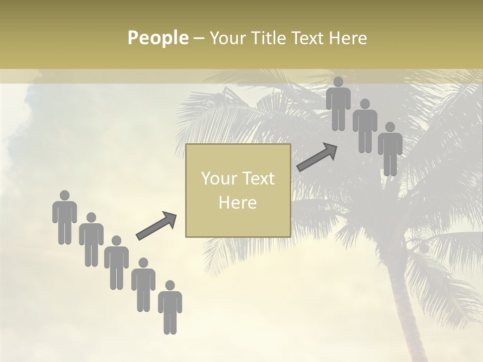 A Palm Tree On A Sandy Beach With The Ocean In The Background PowerPoint Template