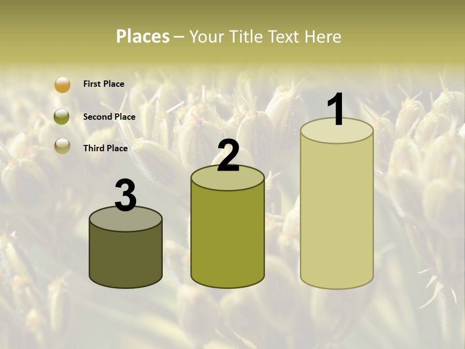 Screen Flowered Closeup Plant PowerPoint Template