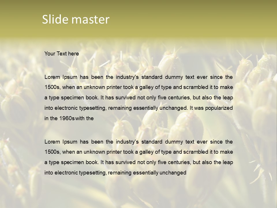 Screen Flowered Closeup Plant PowerPoint Template