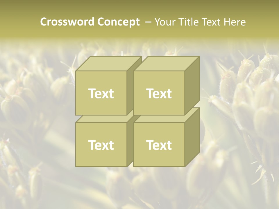 Screen Flowered Closeup Plant PowerPoint Template