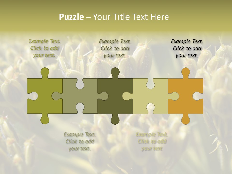 Screen Flowered Closeup Plant PowerPoint Template