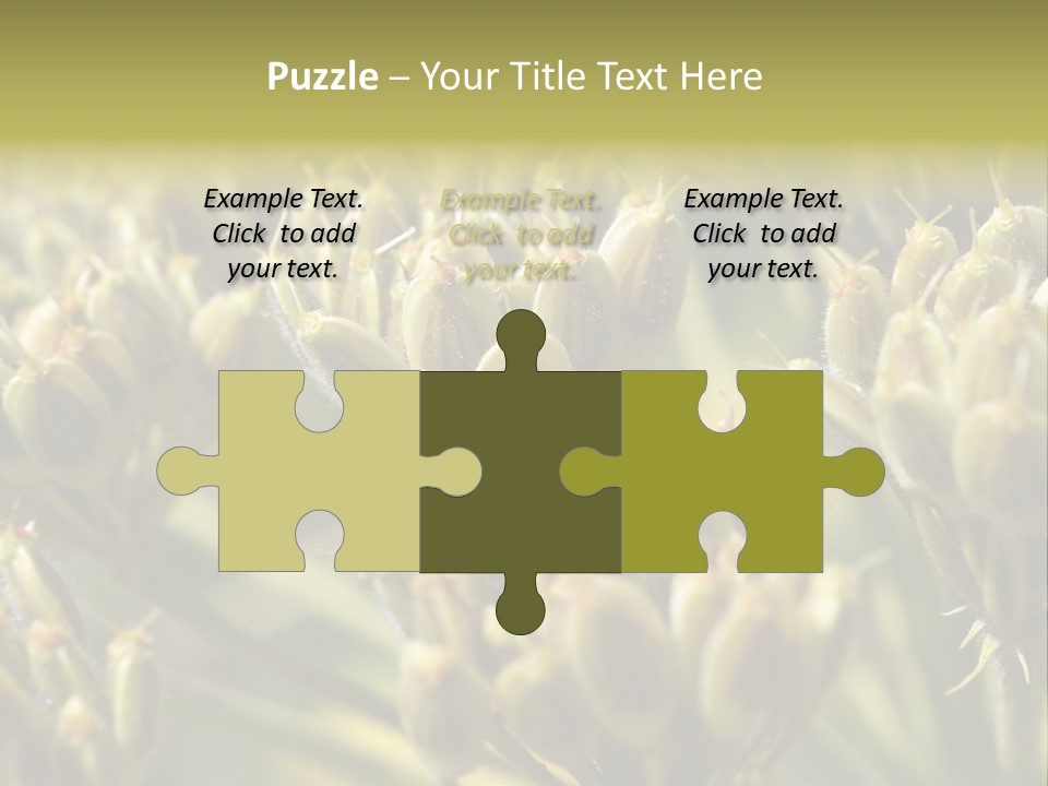 Screen Flowered Closeup Plant PowerPoint Template