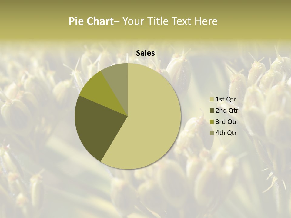 Screen Flowered Closeup Plant PowerPoint Template