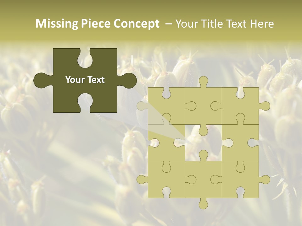 Screen Flowered Closeup Plant PowerPoint Template