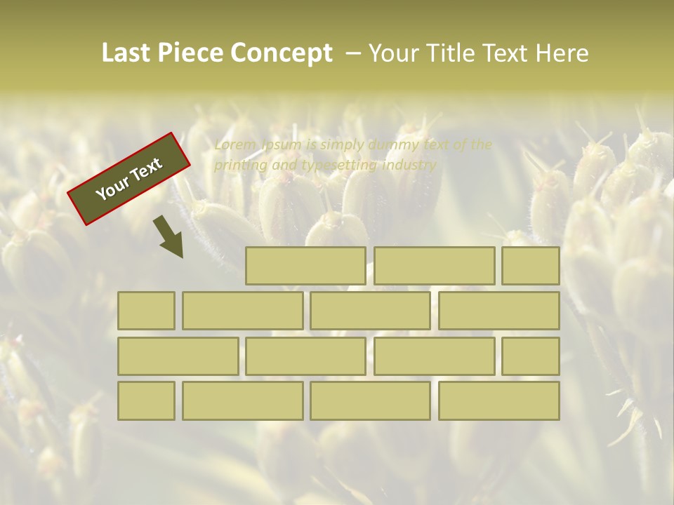 Screen Flowered Closeup Plant PowerPoint Template