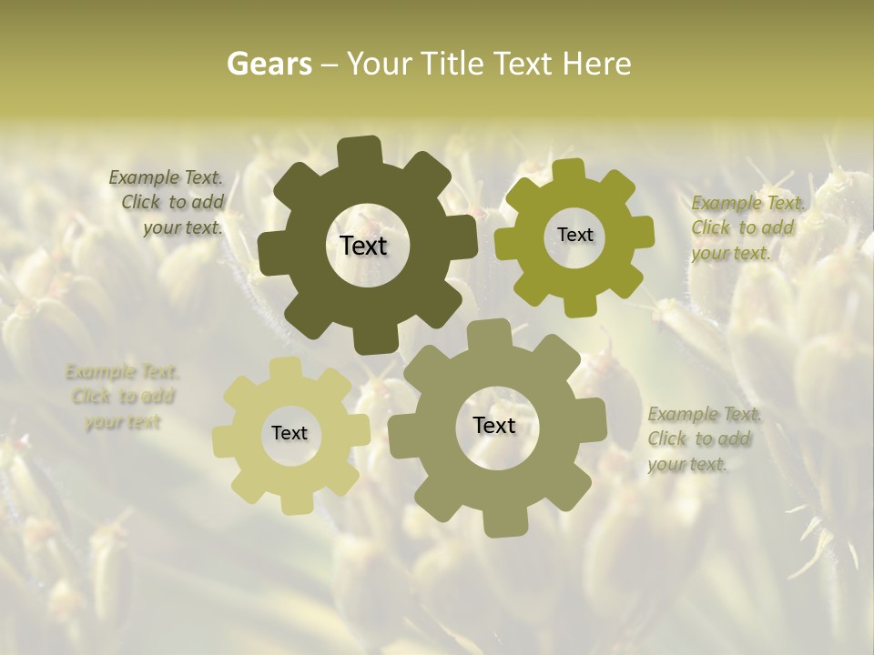 Screen Flowered Closeup Plant PowerPoint Template