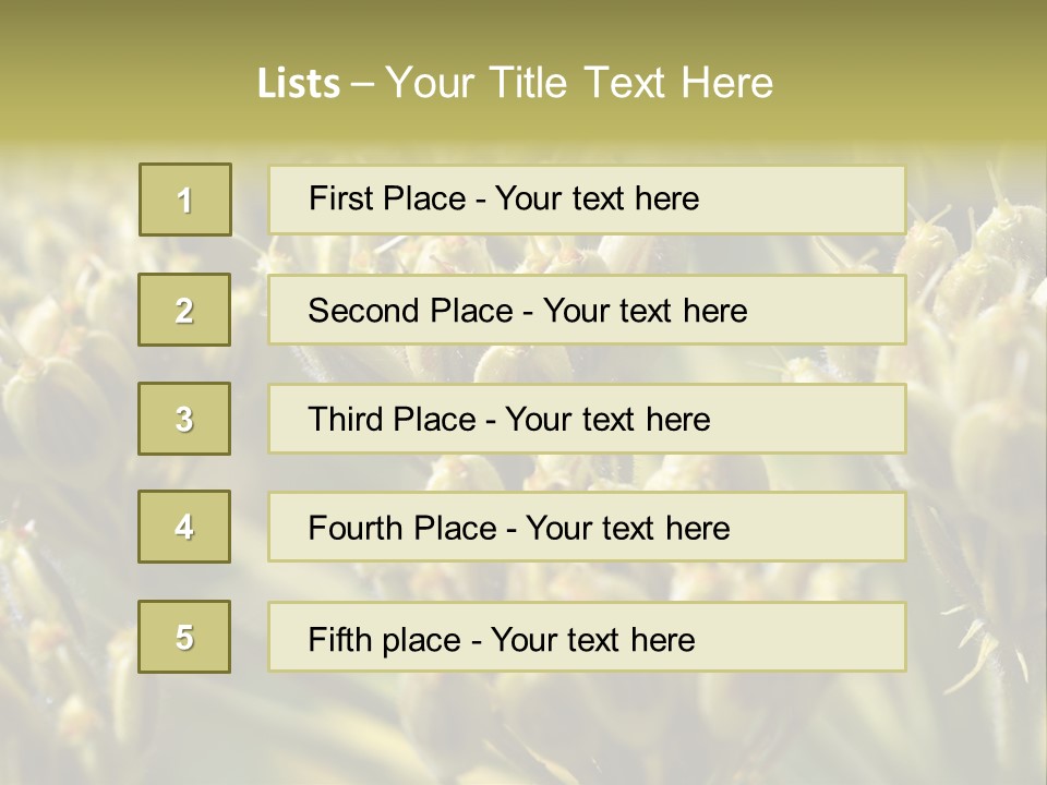 Screen Flowered Closeup Plant PowerPoint Template