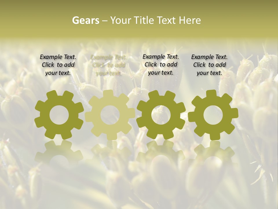 Screen Flowered Closeup Plant PowerPoint Template