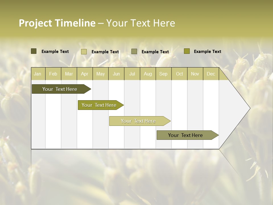 Screen Flowered Closeup Plant PowerPoint Template