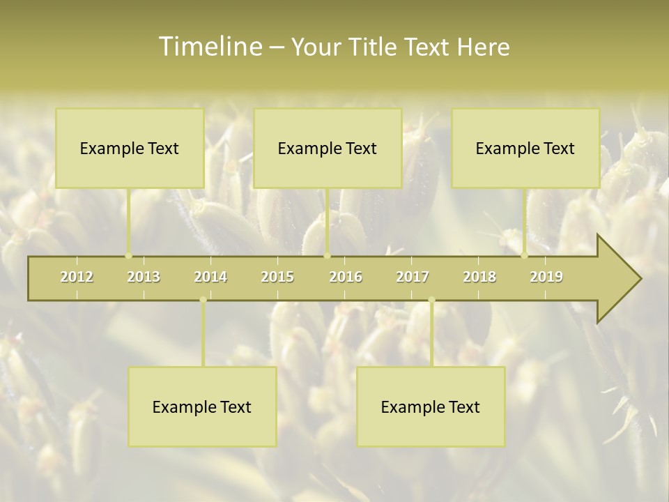 Screen Flowered Closeup Plant PowerPoint Template